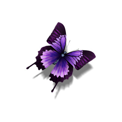 紫蝶