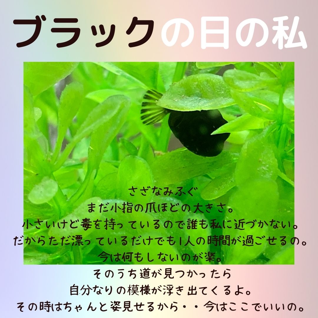 ブラック私2